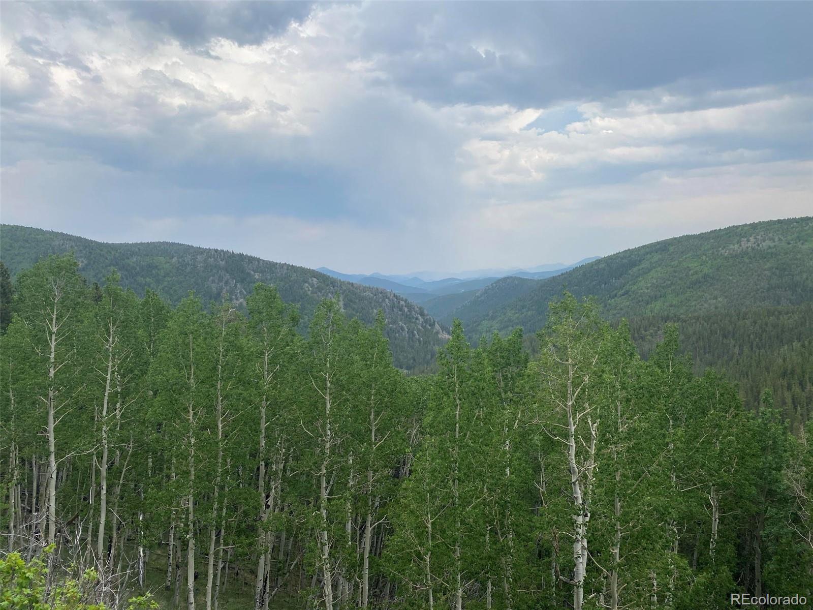 a view of a green field with lots of bushes