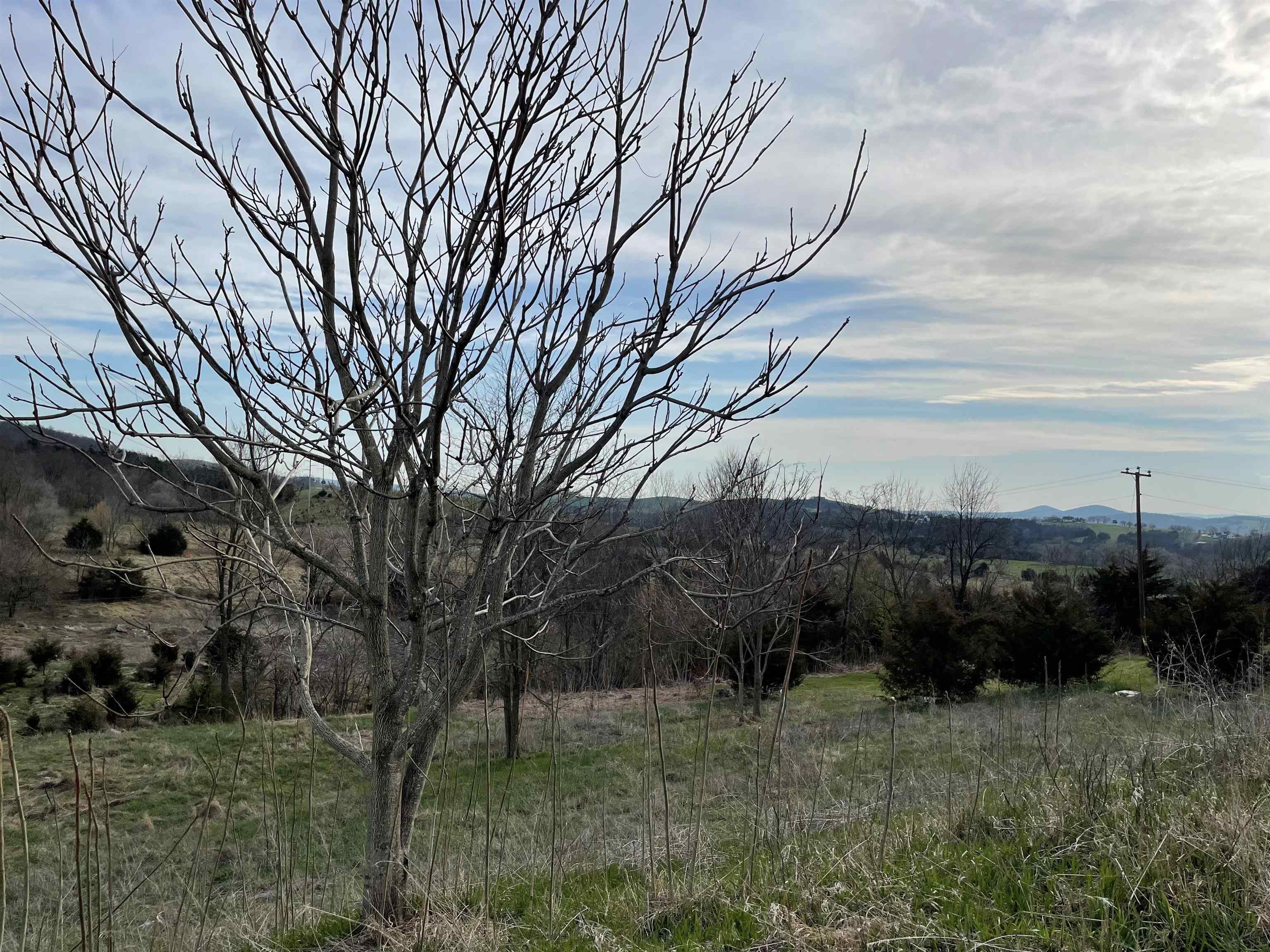 a view of a backyard of the house