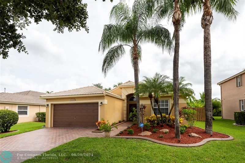 a view of a backyard with a plants and palm trees