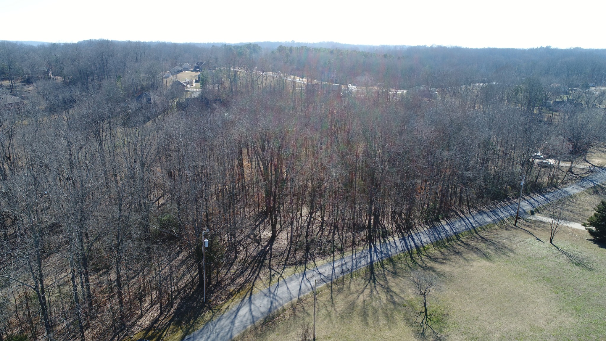 a view of a dry yard with trees in front of house