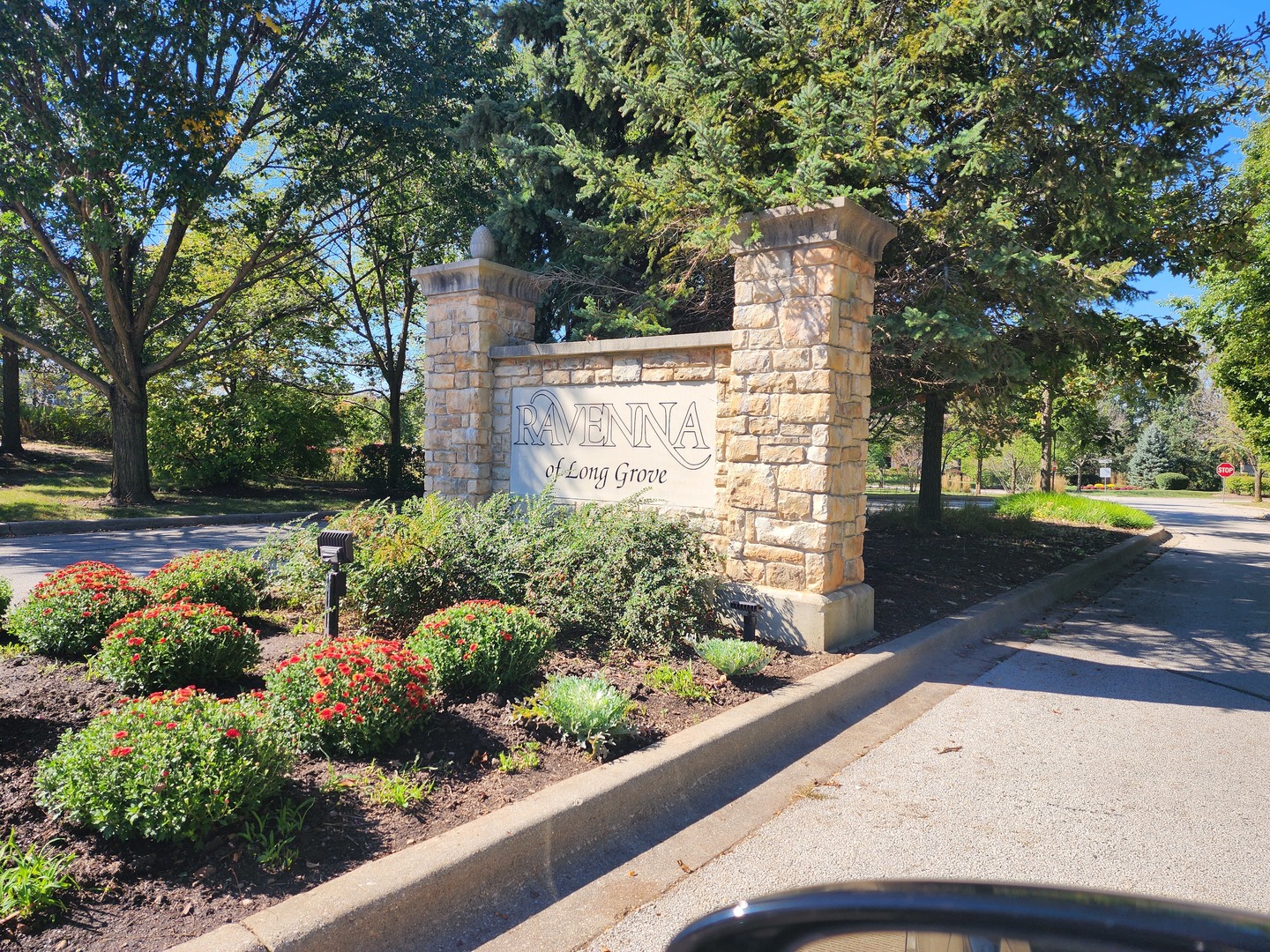 a view of a garden with pathway