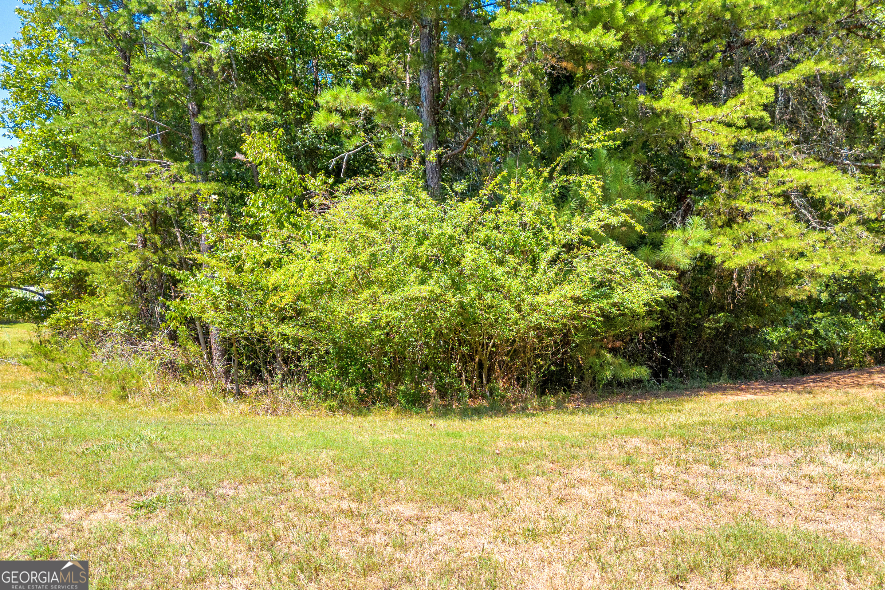 a view of a yard with an outdoor space