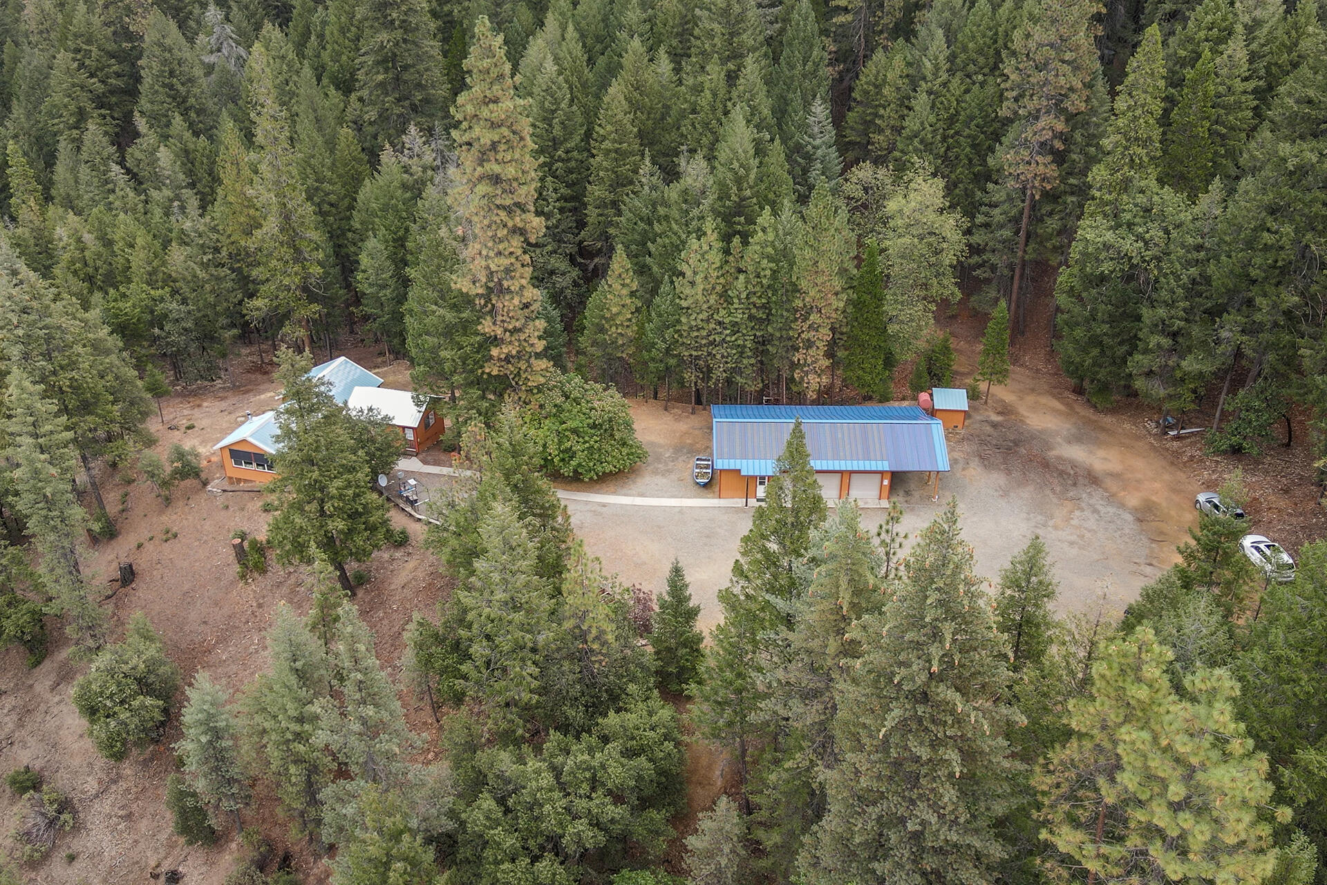 a view of a forest with a yard