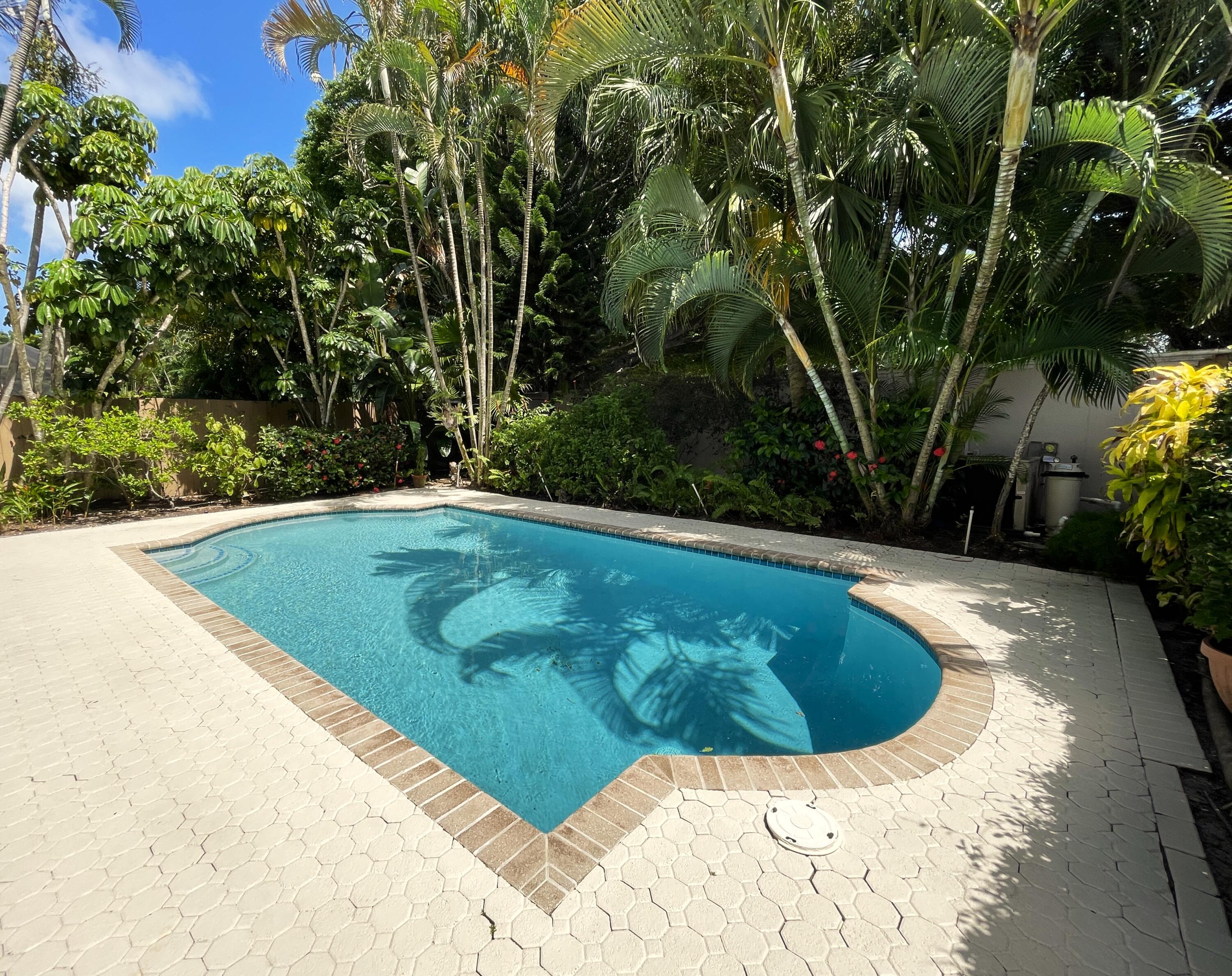 a view of a swimming pool with a yard