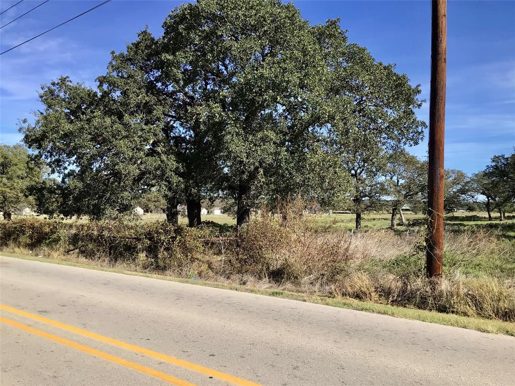 a view of a yard with a tree