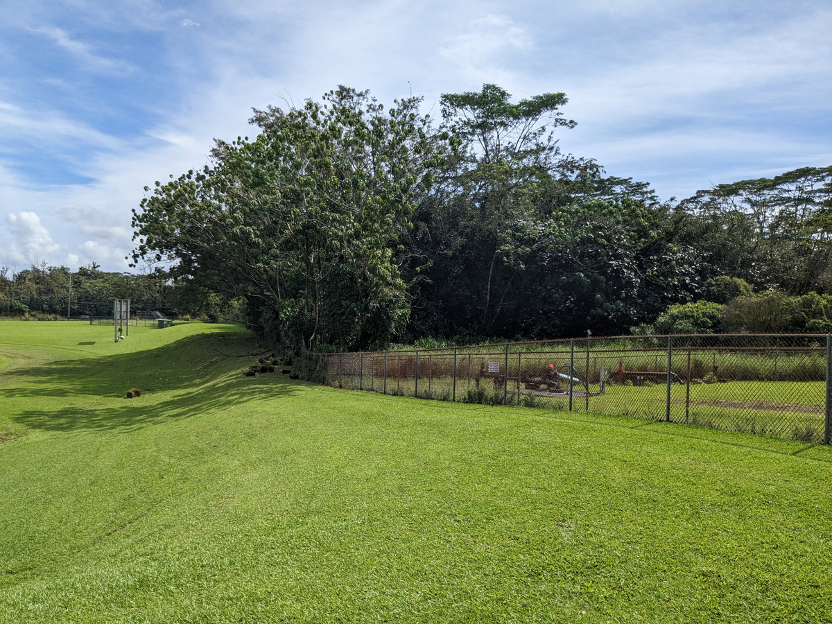 a view of a park