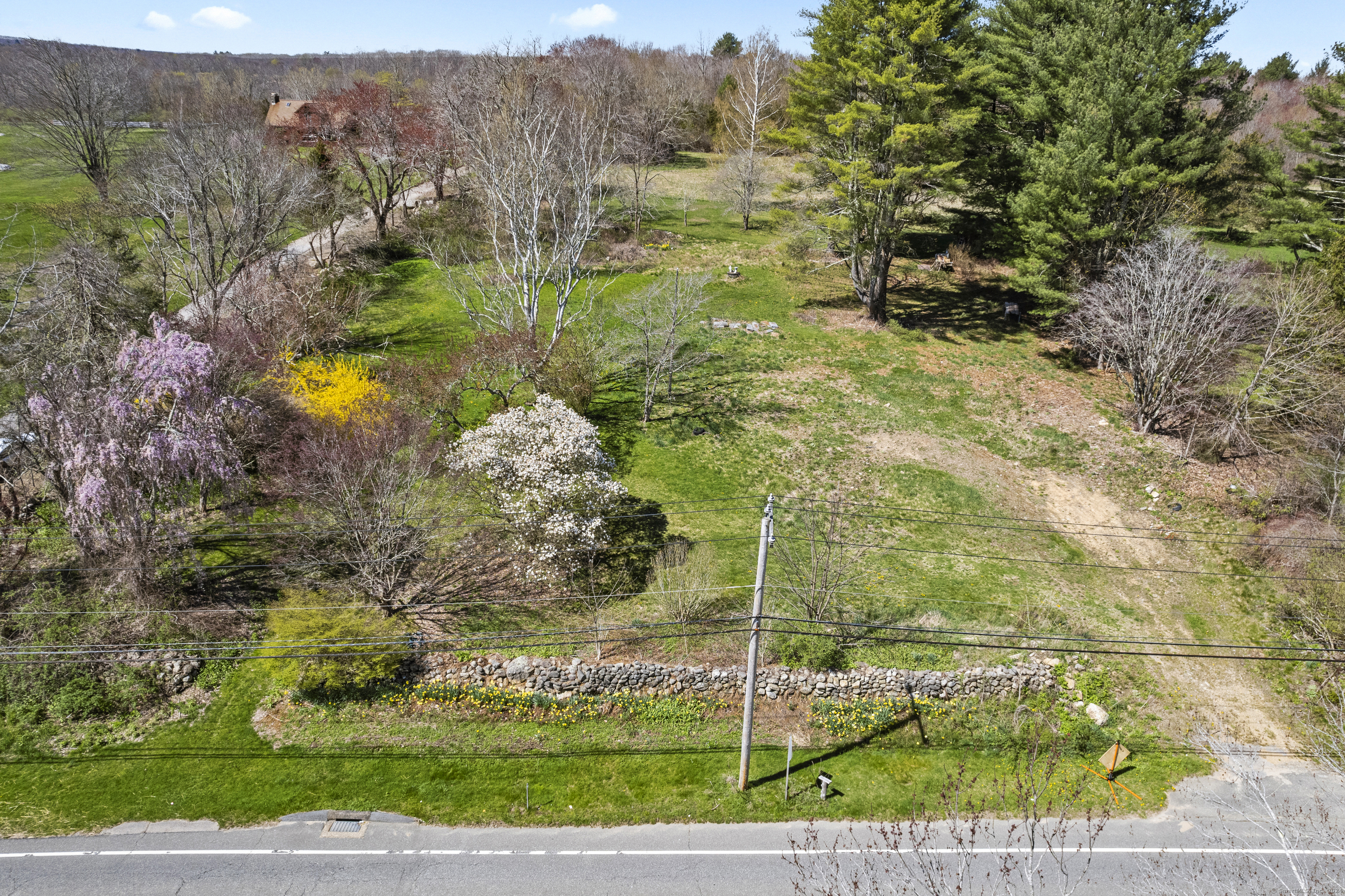 a view of a yard with flower plants