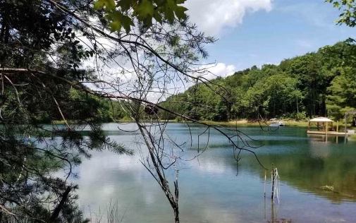 a view of lake