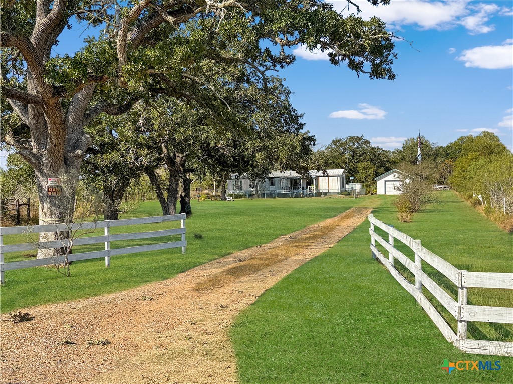 a view of a park with large trees