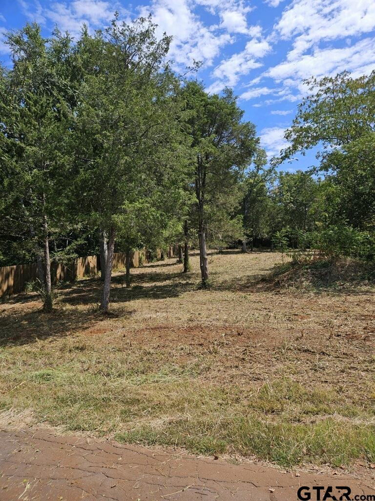 a view of yard with tree