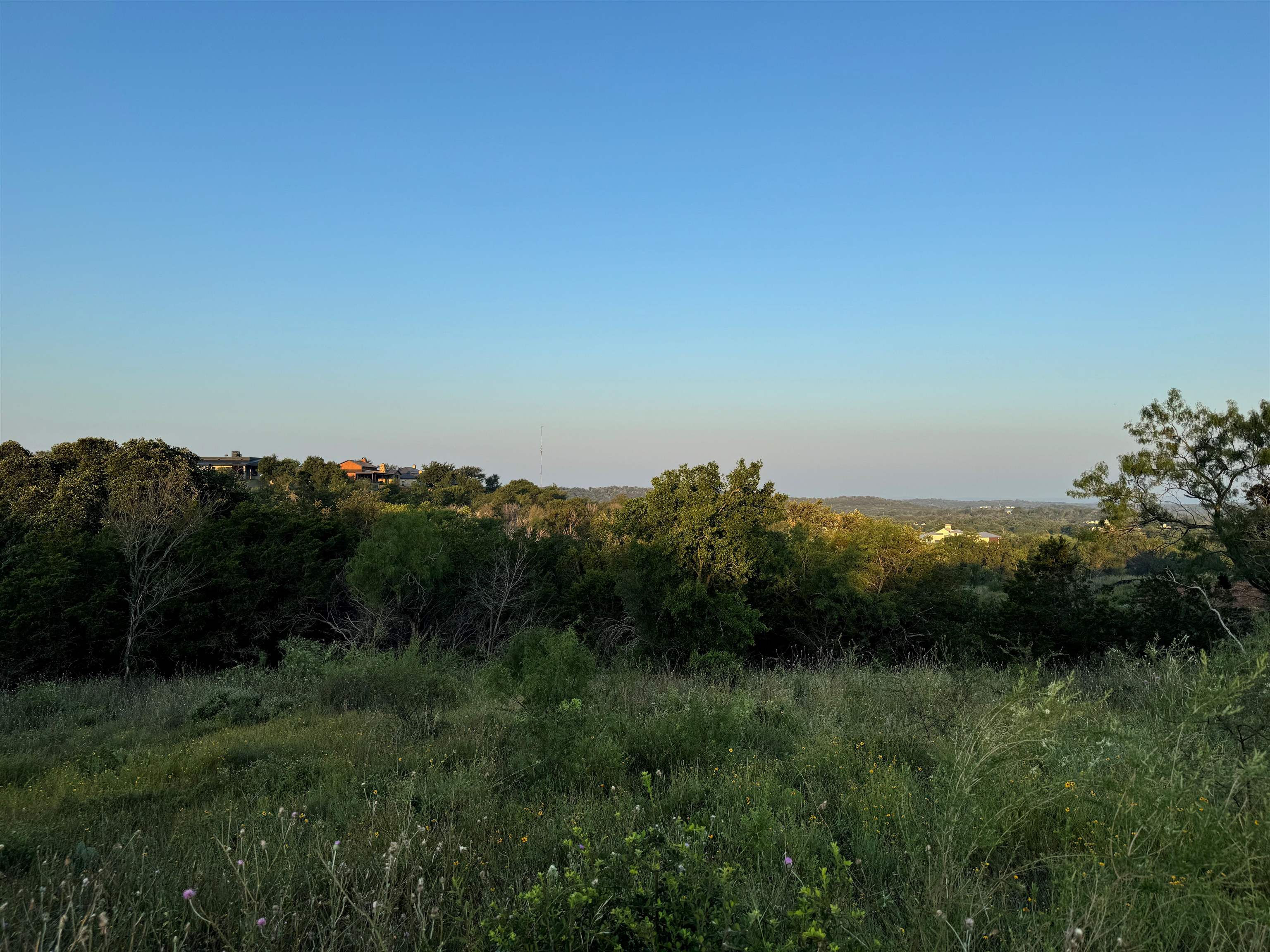 a view of a lush green field