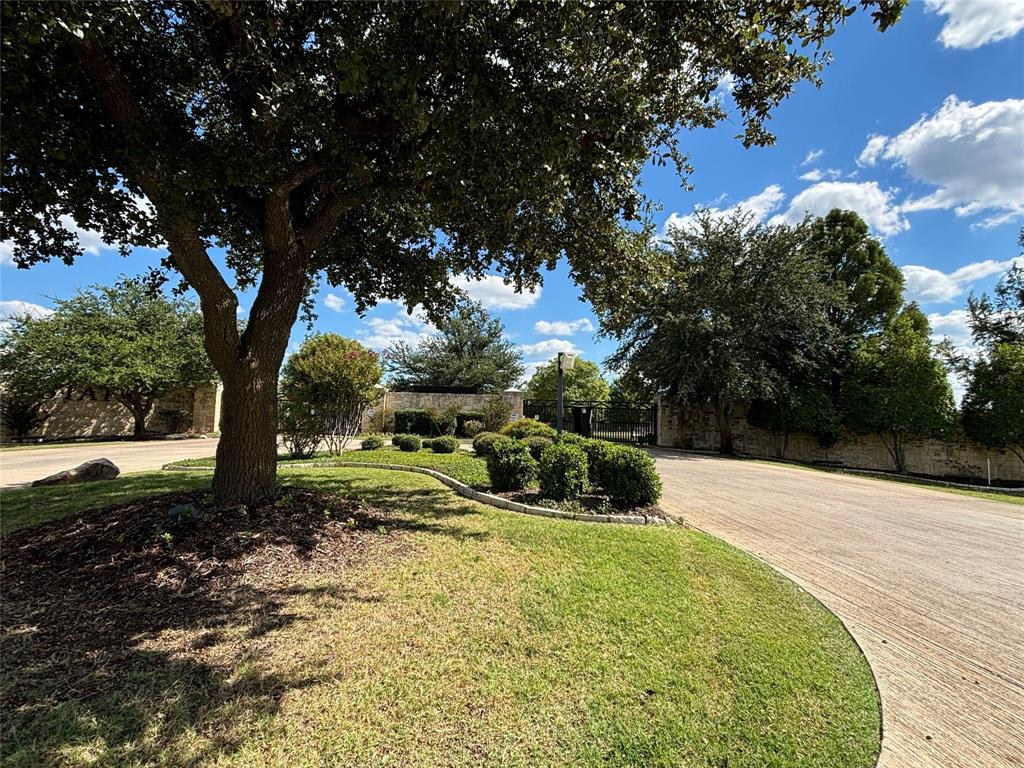 a view of backyard with green space