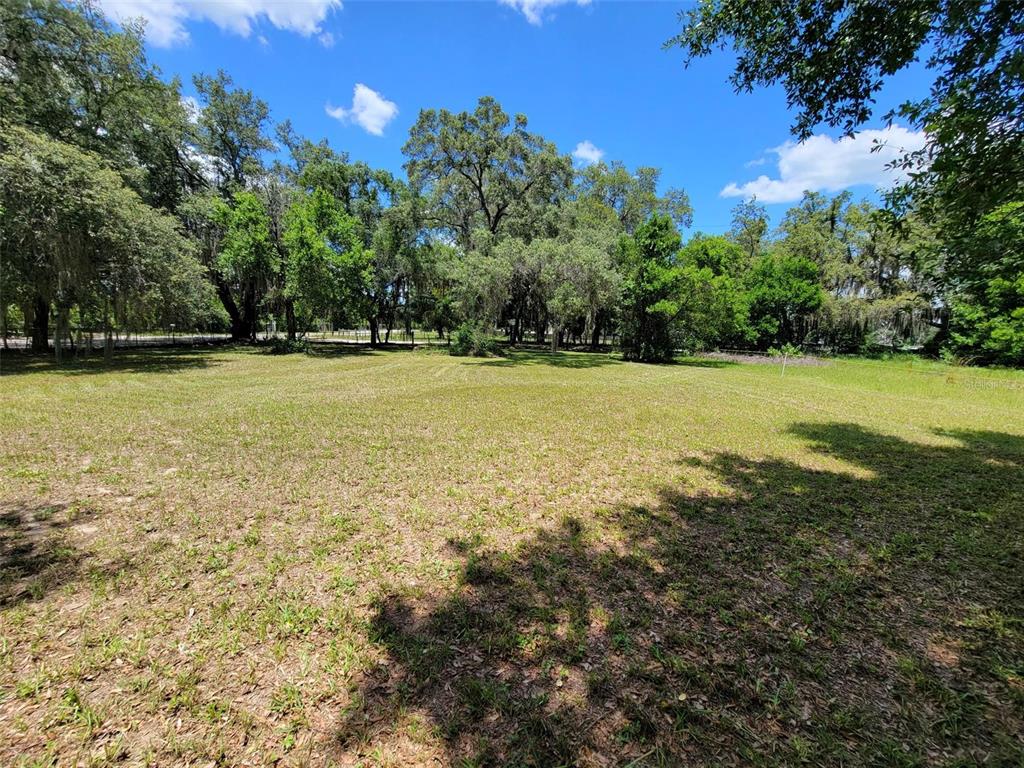 a view of a field with an trees