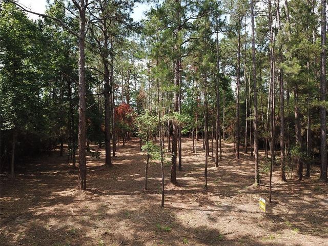 $15,000 | 0 Vantage Drive | Rayburn Country