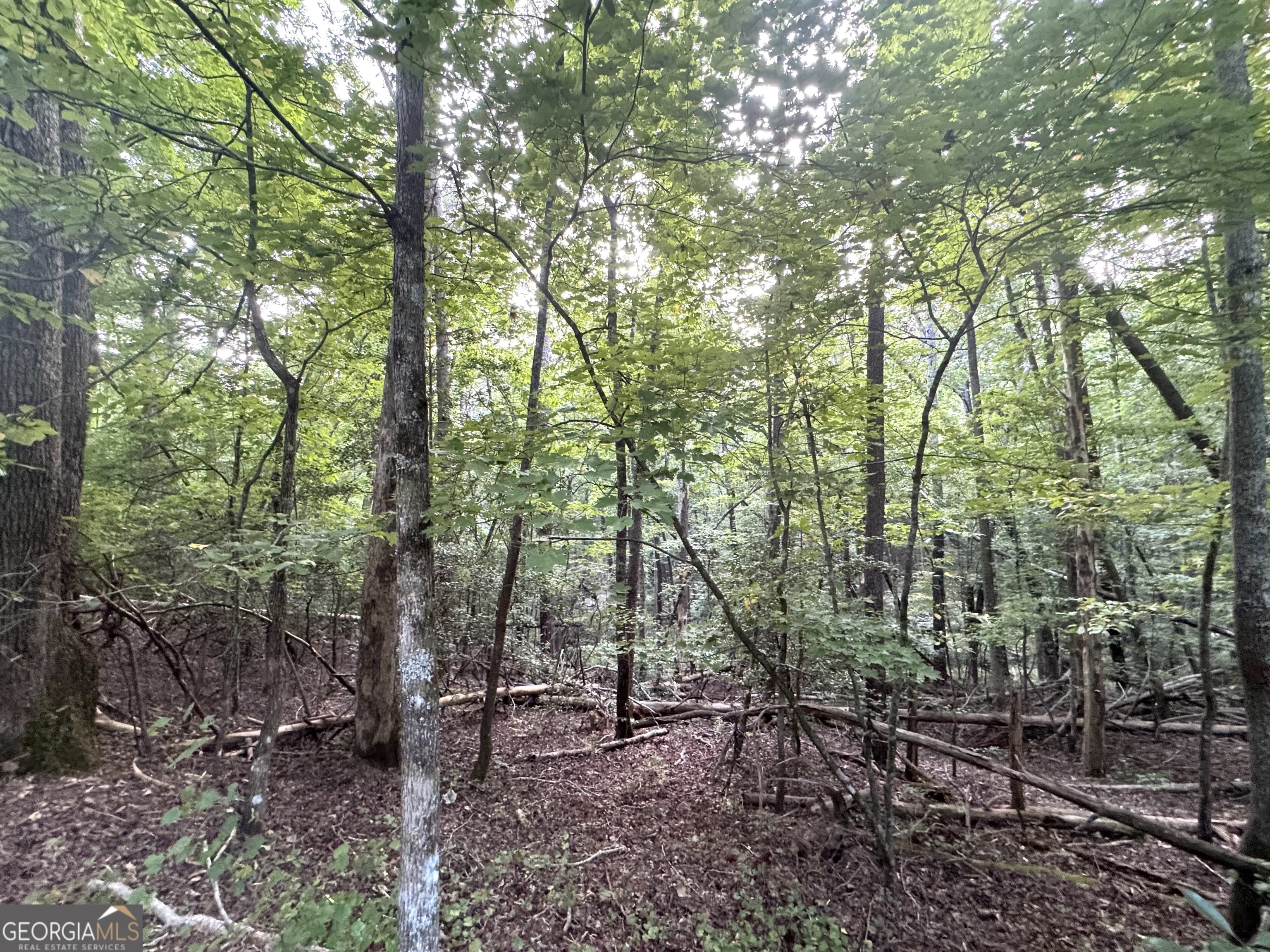 a view of outdoor space and green space