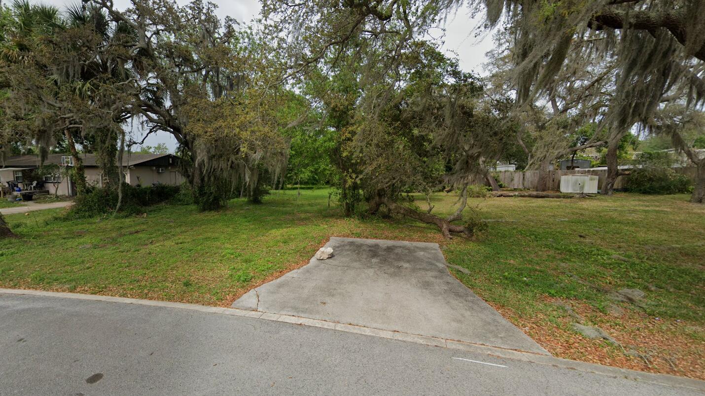 a view of a park with large trees