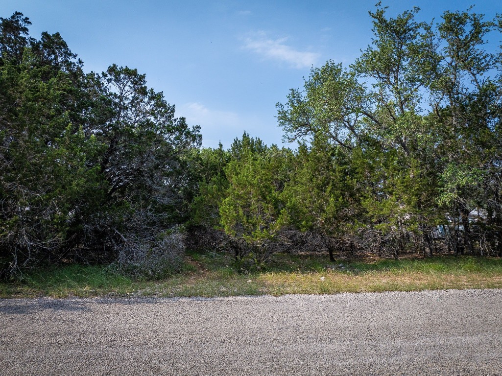 a view of a yard