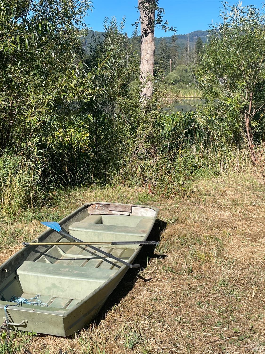 a view of a backyard with plants and a lake view